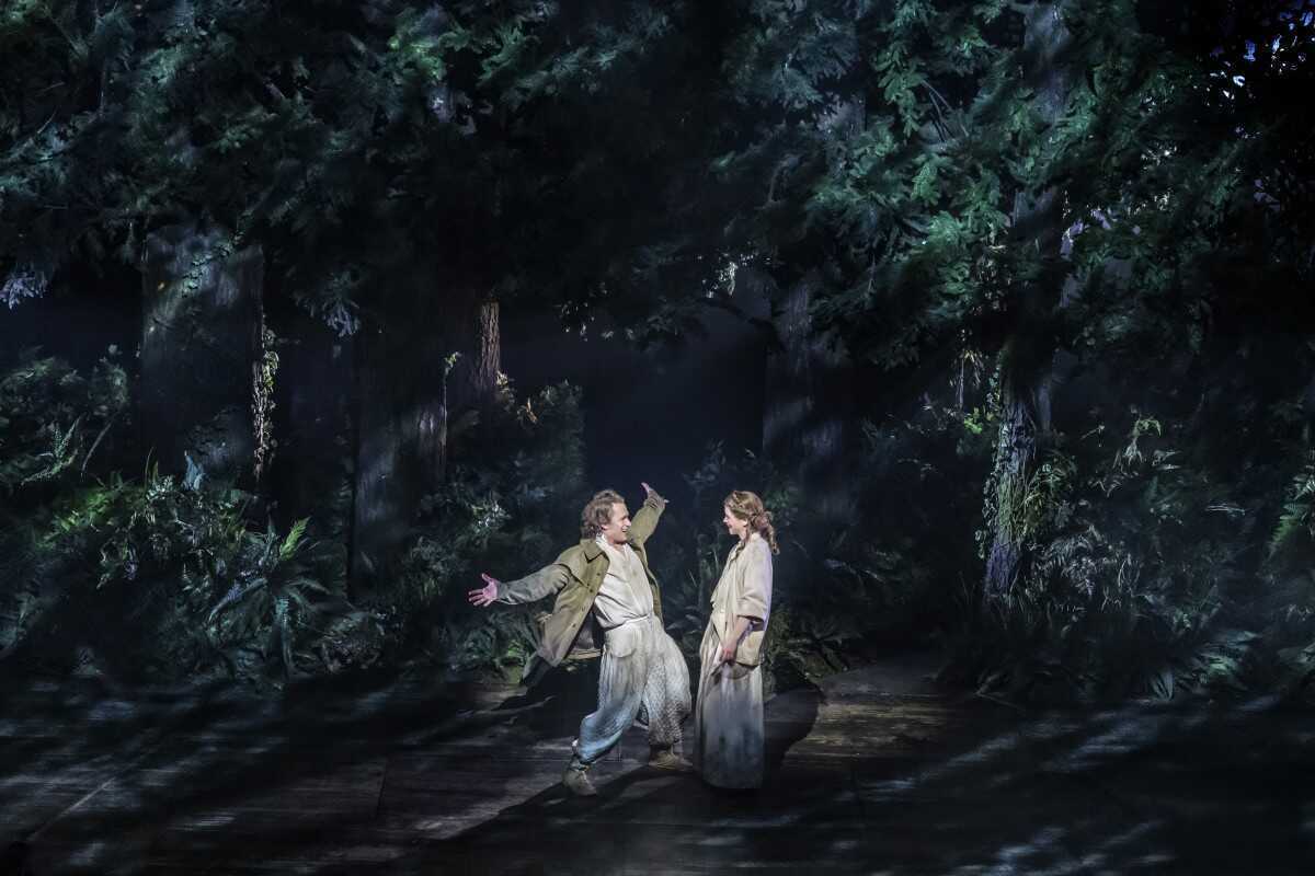 Into The Woods